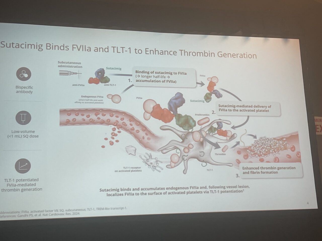 Is the Glanzmann Era Finally Over? Flora Peyvandi on Latest Bispecific Antibodies: ISTH 2025