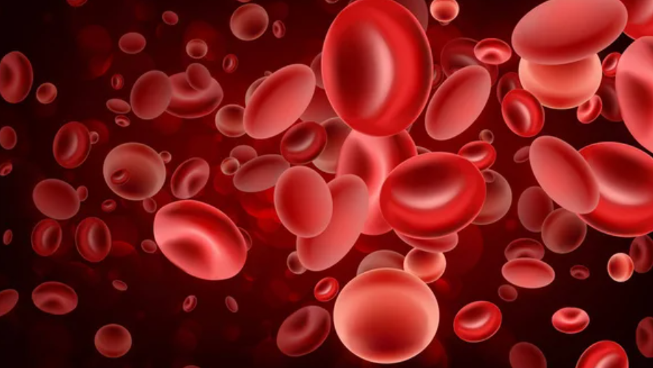 Long-term Efficacy and Safety of Mitapivat in Non-Transfusion-Dependent α- or β-thalassaemia – British Journal of Haematology