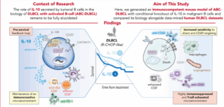 IL-10 From Tumoral B Cells Modulates the Diffuse Large B-Cell Lymphoma Microenvironment and Response to Immunotherapy