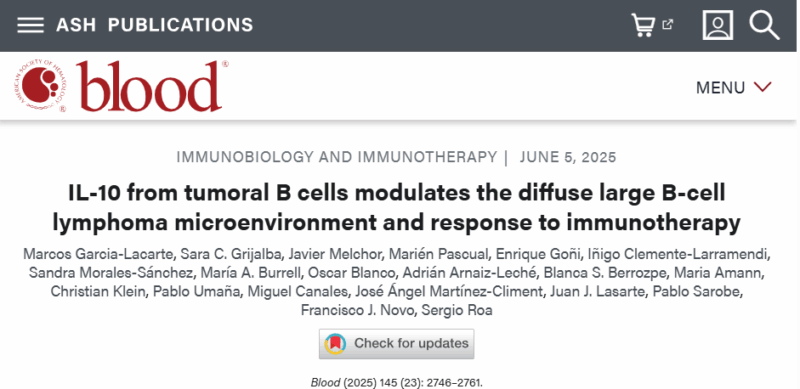 IL-10 From Tumoral B Cells Modulates the Diffuse Large B-Cell Lymphoma Microenvironment and Response to Immunotherapy