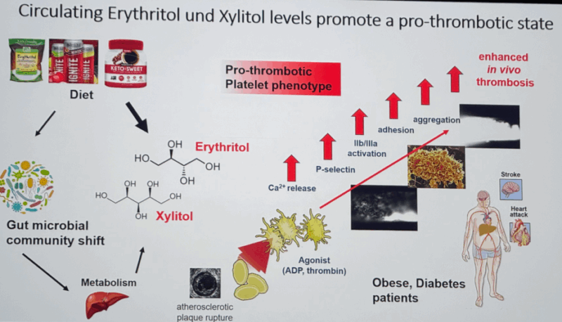 Wolfgang Miesbach: Sweeteners - Not Always So Sweet for Your Heart!