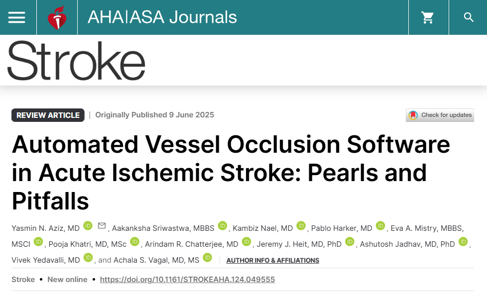AI and STROKE: Evidence on Software Performance in a Real-world Setting