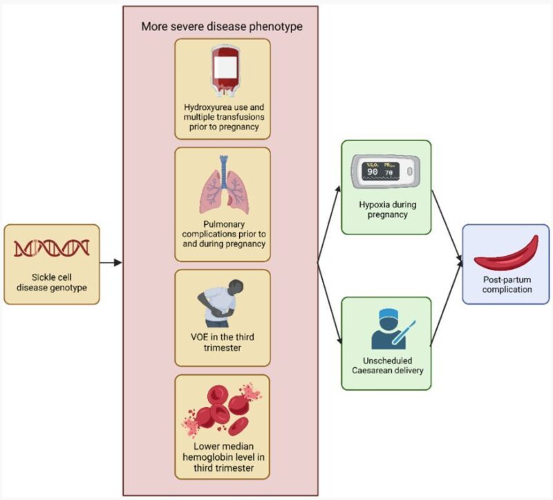 Hypoxia and Emergency Caesarean Deliveries Worsen Postpartum Outcomes in Sickle Cell Disease: New Insights from Perinatal Hemostasis Research