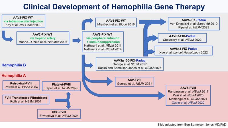 Brian O Mahony: Nice illustration on Haemophilia Gene Therapy by George at ISTH2025