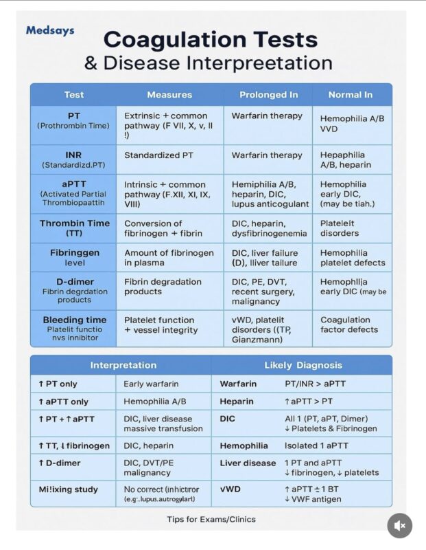 Lama Alghamdi: Coagulation Tests and Disease Interpreetation