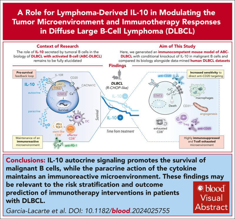 IL-10 From Tumoral B Cells Modulates the Diffuse Large B-Cell Lymphoma Microenvironment and Response to Immunotherapy