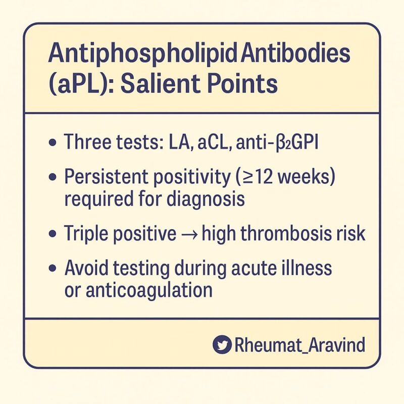 Decoding Antiphospholipid Syndrome: Why Triple Positivity Is a Red Flag for Thrombosis