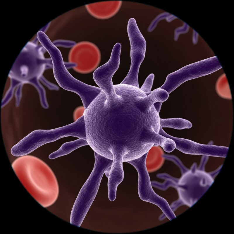 Unlocking Hematology: Dr. Houssein Safa’s Game-Changing Educational Series for Internists