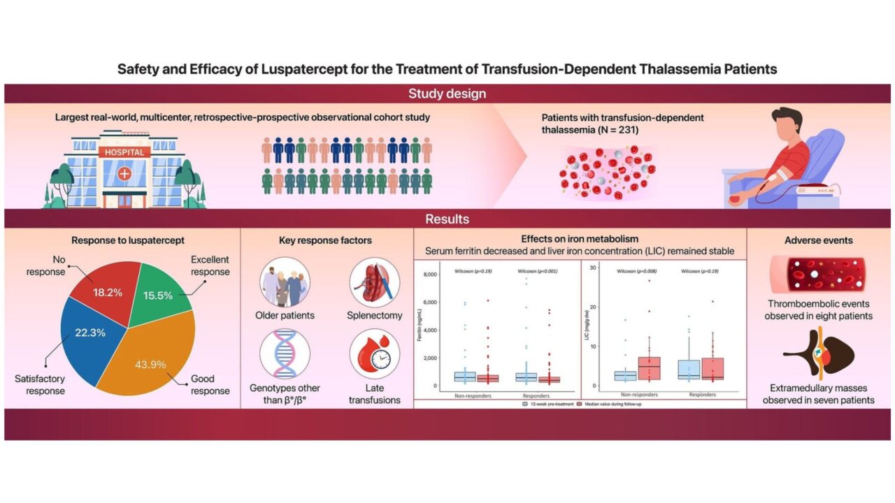 Real-World Data from Italy: Luspatercept Shows Promise in Transfusion-Dependent Beta-Thalassemia