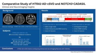 Striking Stroke Science | HTRA1-AD-cSVD and CADASIL: Overlapping Features, Key Differences