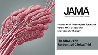 Intra-Arterial Tenecteplase After Thrombectomy: Promising but Inconclusive