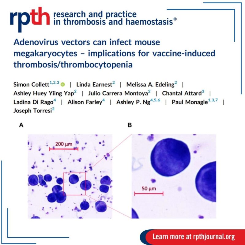1 Hypothesis, Multiple Implications: Adenoviral Vector Vaccines and Thrombosis with Thrombocytopenia Syndrome