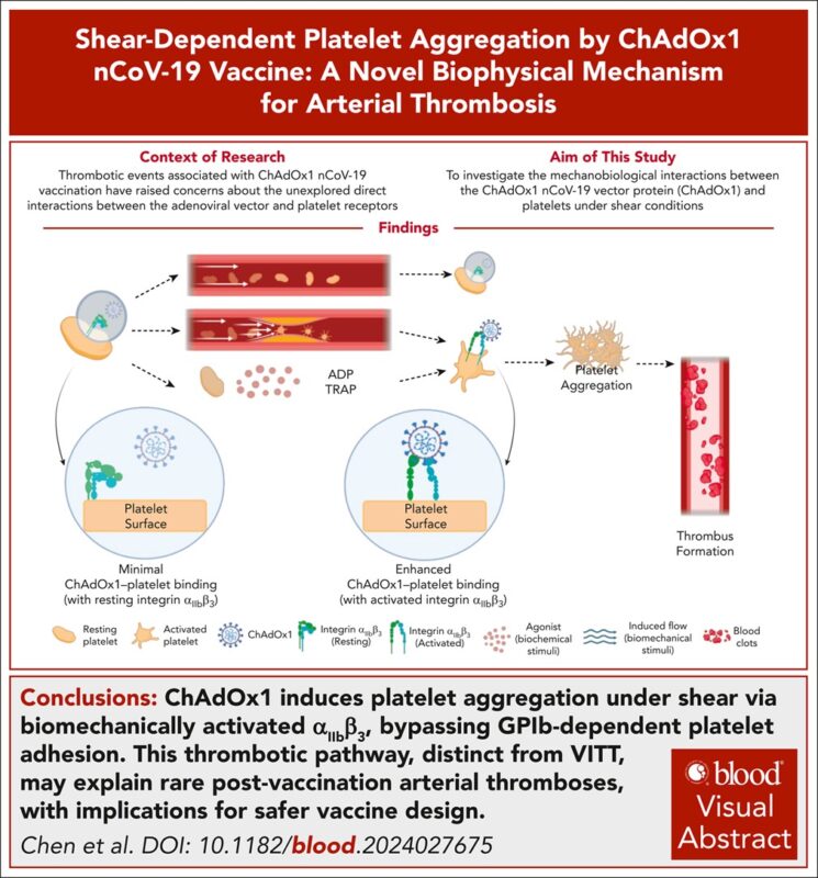 ChAdOx1 and Shear‑Dependent Platelet Aggregation: Uncovering a New Thrombotic Pathway