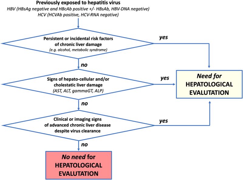 Wolfgang Miesbach: Protecting Liver Health in Bleeding Disorders