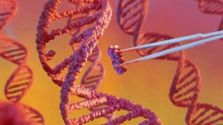 From Untouchable to Editable: How 21st-Century Gene Editing Breakthroughs Clash with Systemic Barriers