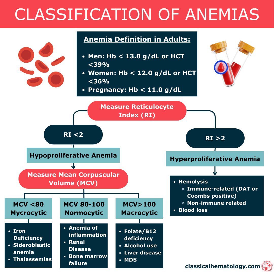 Dr Sthanu Subramanian: Classifying Anemias by Bone Marrow Response