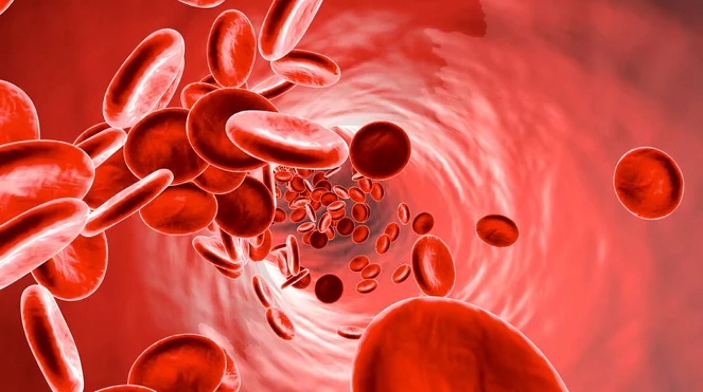 Dr Sthanu Subramanian: Classifying Anemias by Bone Marrow Response