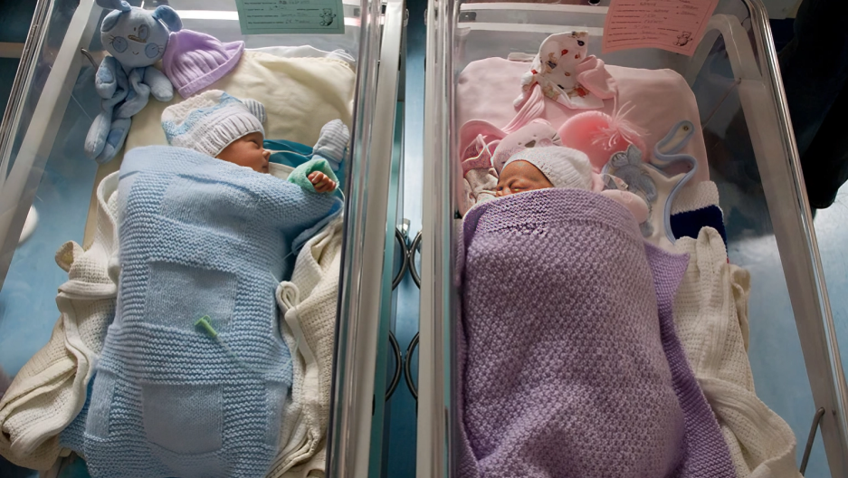 Can a Single DNA Change Decide If You’ll Have a Boy or a Girl? Scientists Think So