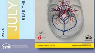 New Issue Alert! Advances in Stroke: Vascular and Interventional Neurology 2025