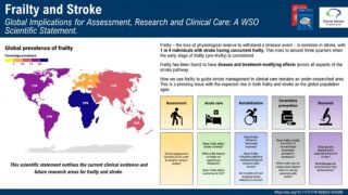WSO Scientific Statement: 1 in 4 Stroke Patients Suffers from Frailty