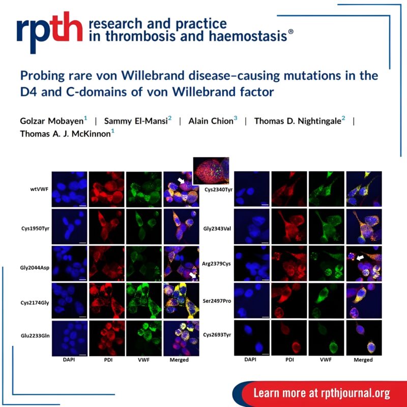 C-Terminal VWF Variants in von Willebrand Disease: Functional Insights from the D4-C6 Domains