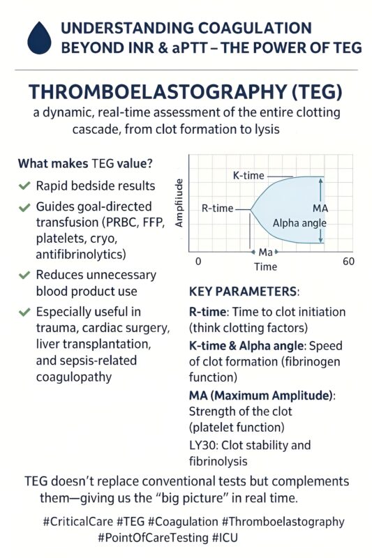 Thromboelastography: Coagulation Beyond INR and aPTT