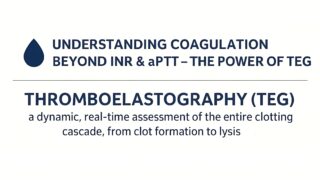 Thromboelastography: Coagulation Beyond INR and aPTT