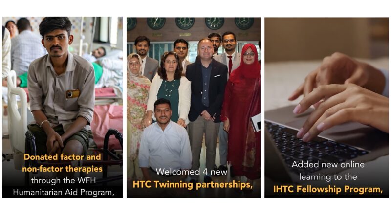 WFH 2024 Annual Report: A Significant Progress