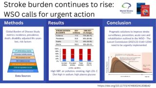WSO Global Stroke Fact Sheet 2025: A Sobering Reminder