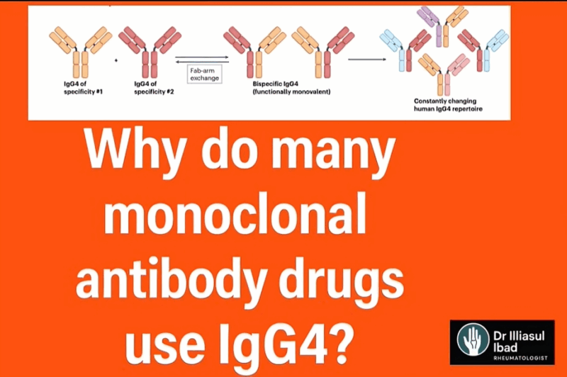 Monoclonal antibodies
