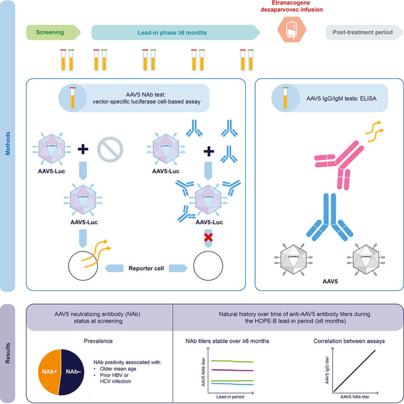 Wolfgang Miesbach on AAV5 Antibodies in Hemophilia B Gene Therapy