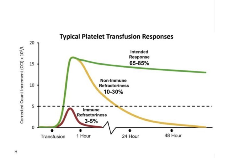 Caitlin Raymond on Platelet Refractoriness: New Series Alert!
