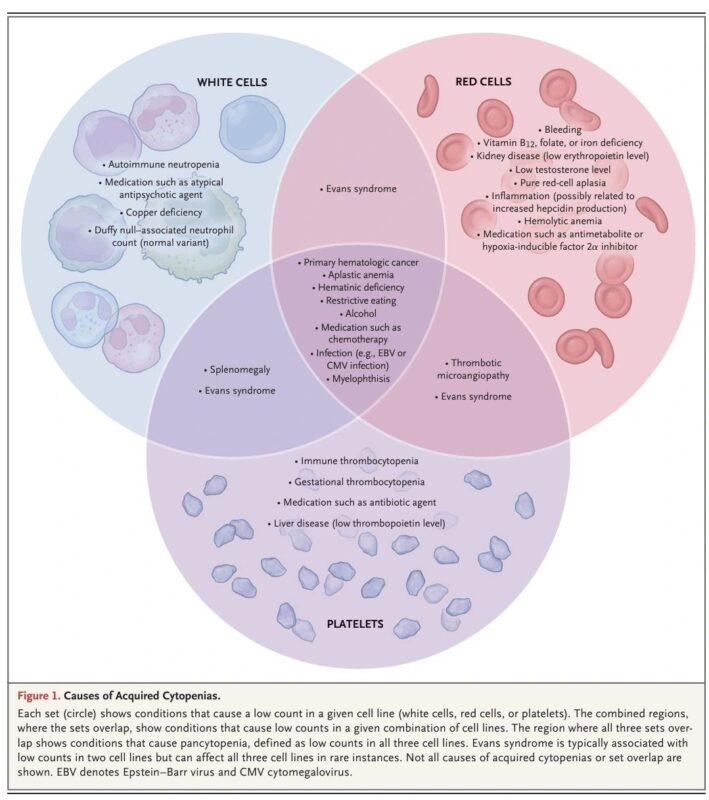 Alexandru Stieber Shares NEJM Insights on Potential Combinations of Cytopenias