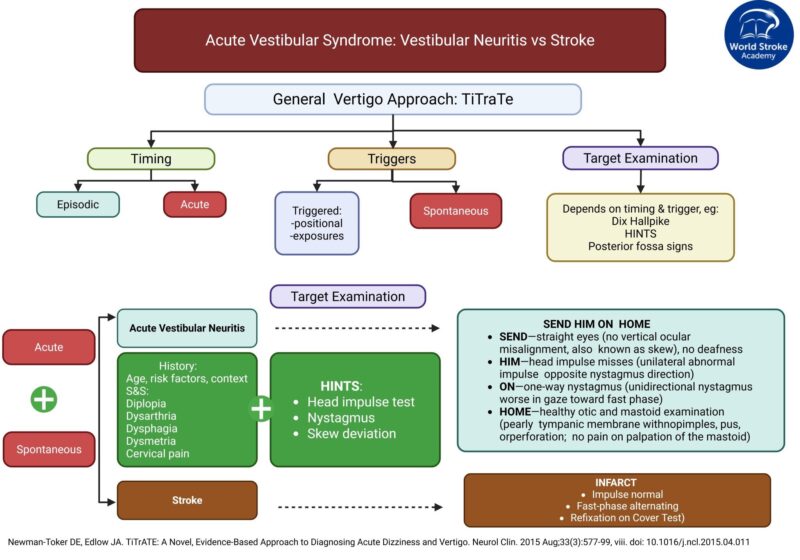 World Stroke Academy: Rodrigo Guerrero Torrealba on Acute Vestibular Syndrome and Stroke