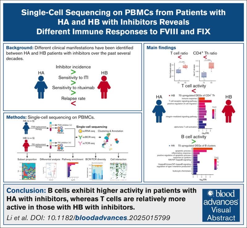 Enhao Li on Key Immune Differences Between HA and HB Patients with Inhibitors: B Cells Versus T Cells Dominance