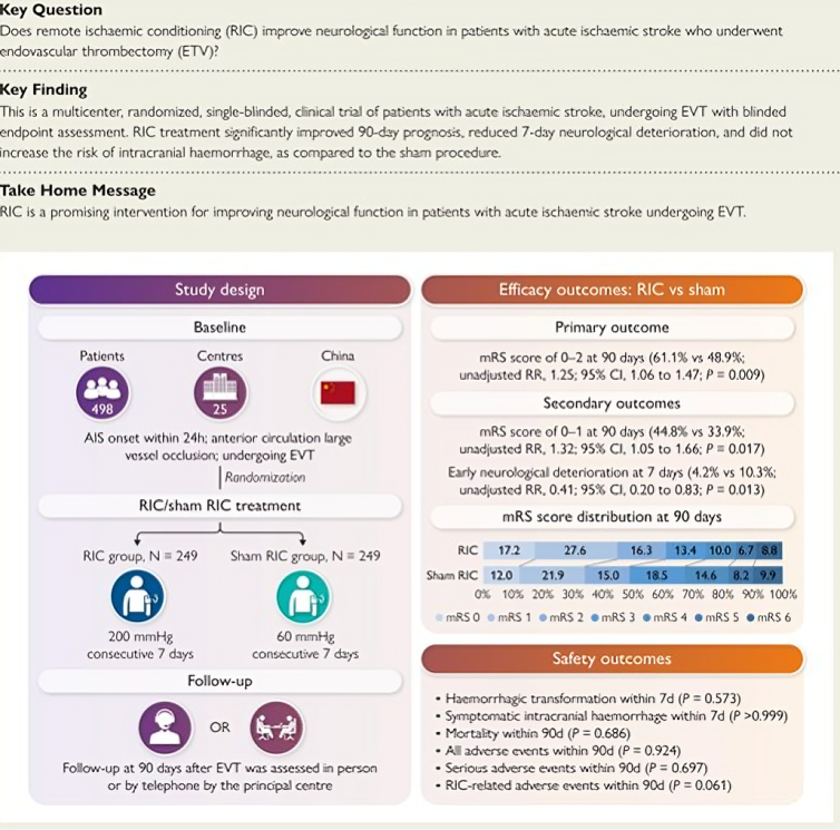 Remote Ischemic Conditioning in Ischemic Stroke: Insights from the SERIC-EVT Trial