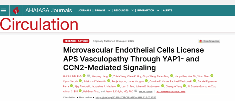 Endothelial Cells