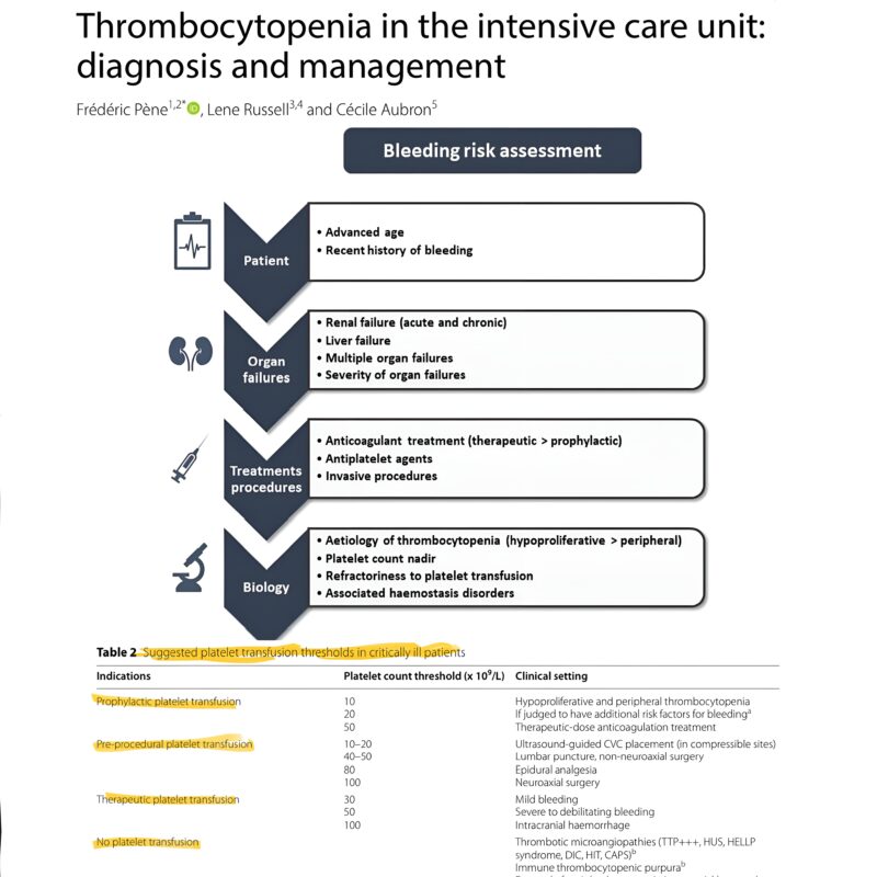 Eddy Gutierrez Shares Insights on Thrombocytopenia Management in the ICU