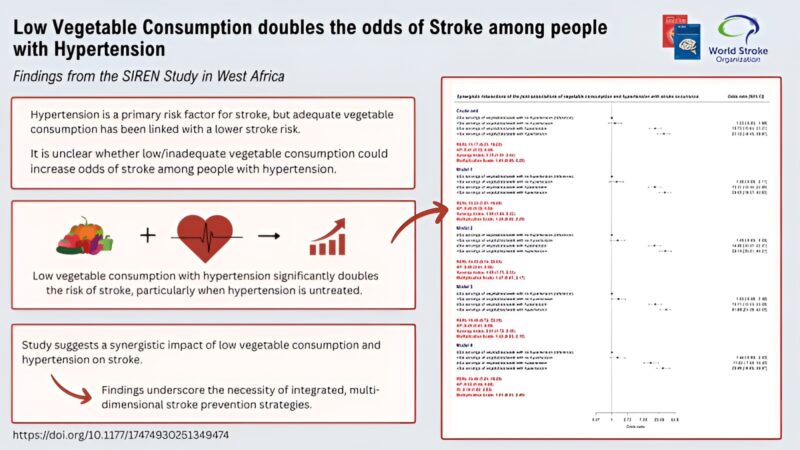 SIREN Study: Important Insights Hypertension and Low Vegetable Consumption Double Stroke Odds