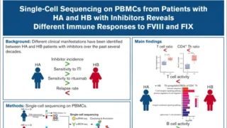 Enhao Li on Key Immune Differences Between HA and HB Patients with Inhibitors: B Cells Versus T Cells Dominance