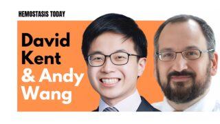 Patent Foramen Ovale and Stroke: David Kent and Andy Wang Break It Down