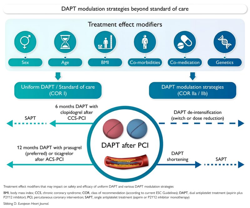 Beyond the Standard: Individualized Approaches to Dual Antiplatelet Therapy Gain Attention