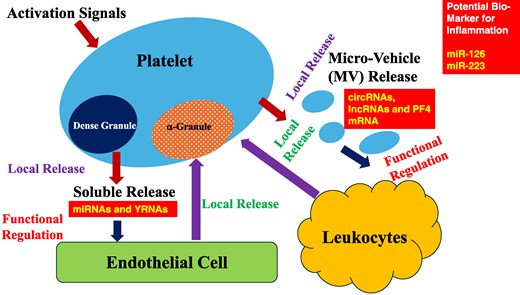 Shinya Goto: Platelet-Derived RNAs As Novel Regulatory Markers Of Vascular Inflammation