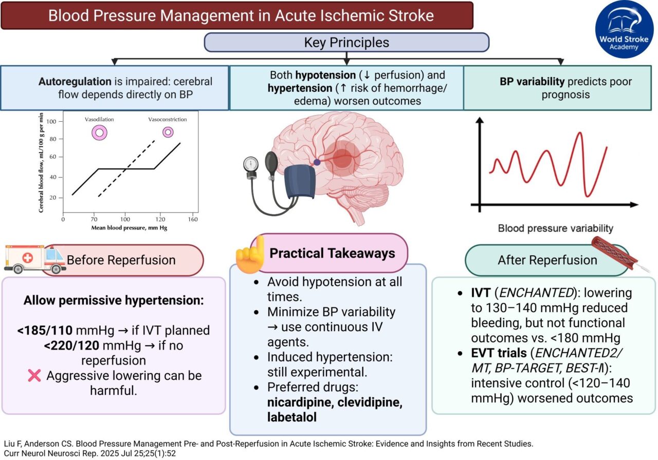 Blood Pressure Management in Acute Ischemic Stroke: Key Guidelines for Clinicians