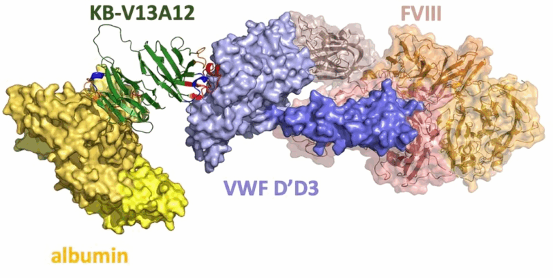 Von Willebrand factor