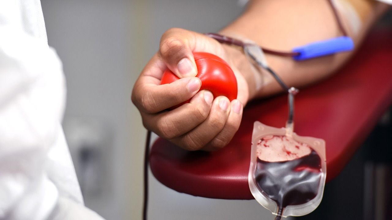 Coffee Before Donation: Why It Might Affect Blood Quality?