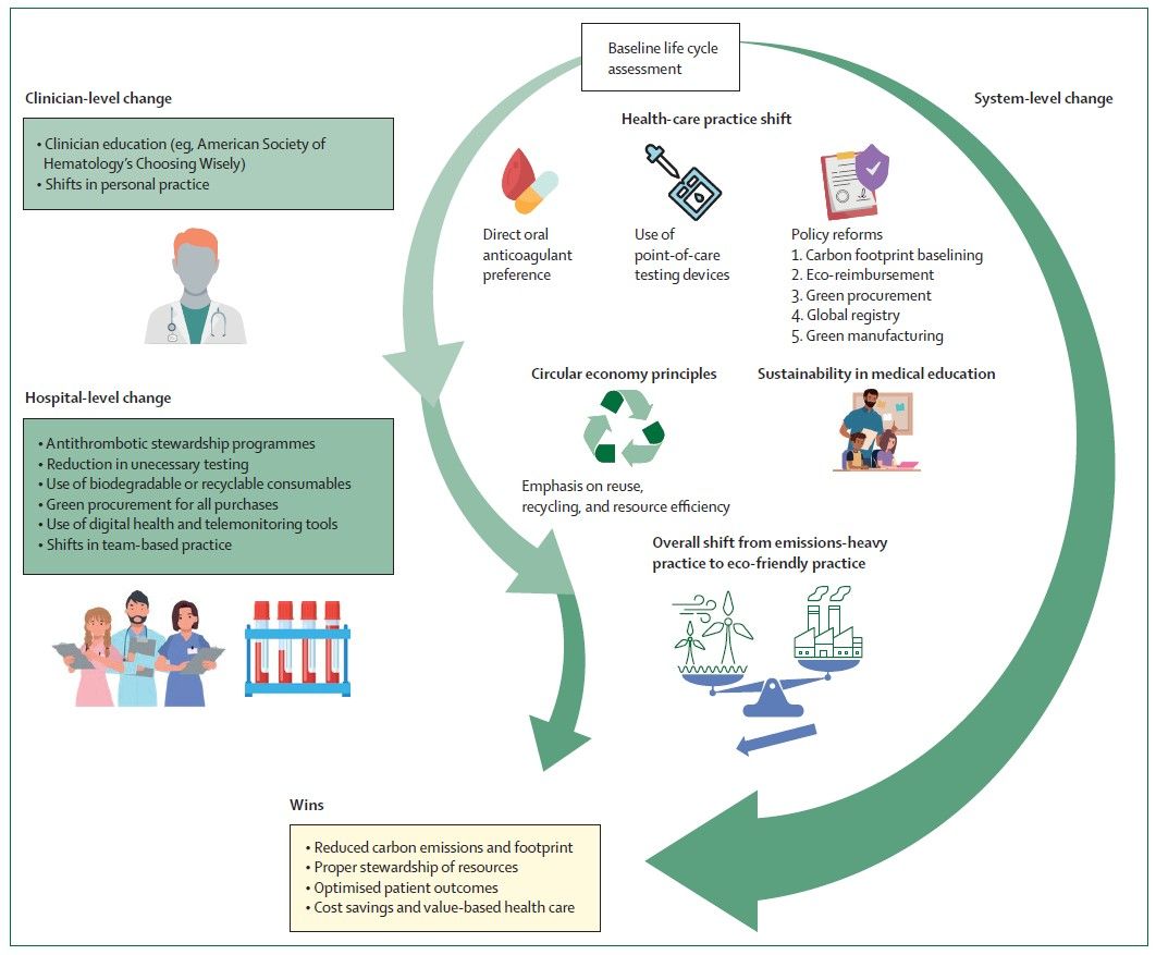 Eugene Fan Highlights Urgent Need to Decarbonise Thrombosis and Haemostasis Care