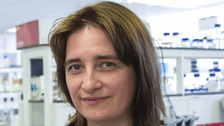 British Journal of Haematology: US ITP Patient Survey on Platelet Management, Fatigue, and Support