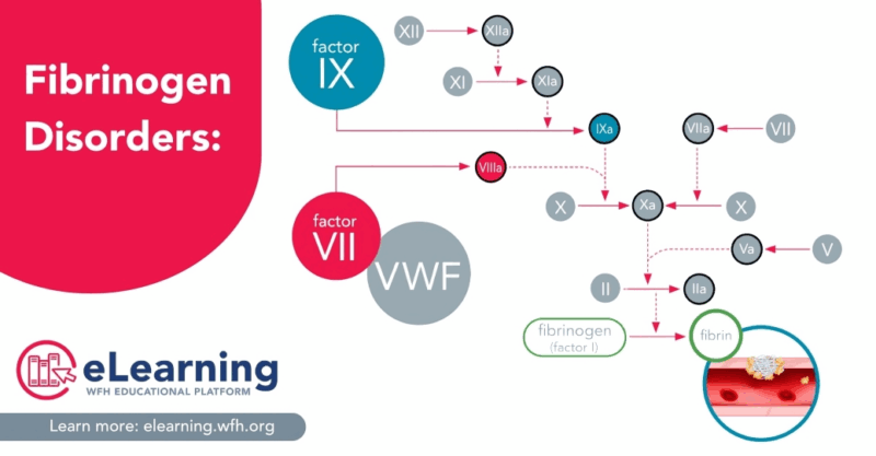 World Federation of Hemophilia