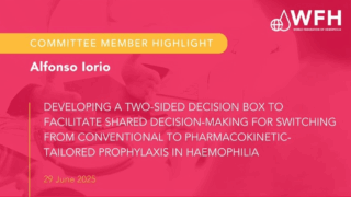 From Weight-Based to PK-Tailored Prophylaxis: A New Shared Decision-Making Approach in Hemophilia Care